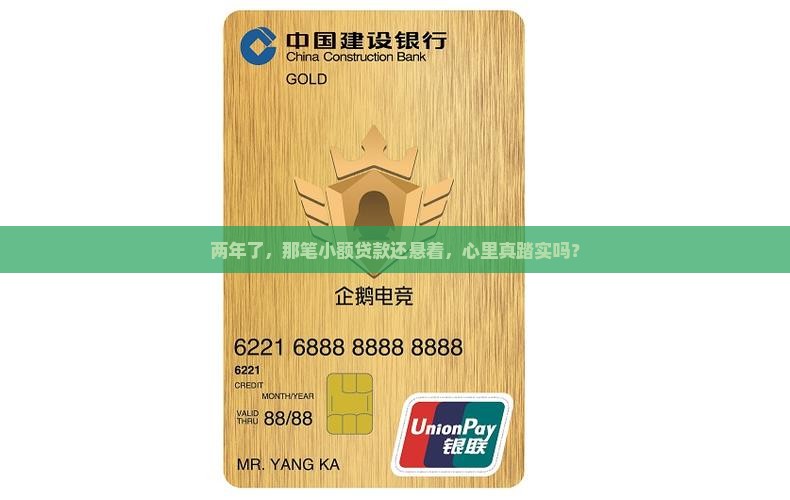 小额贷款欠了2年了