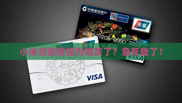 小米贷款按钮灰色