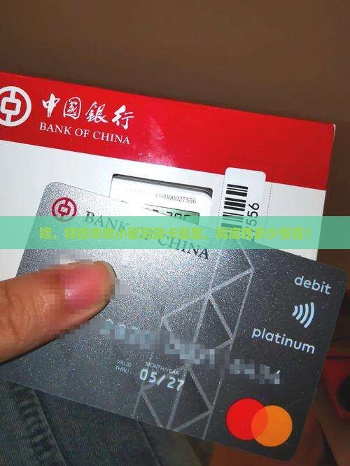丰收小额贷款卡额度