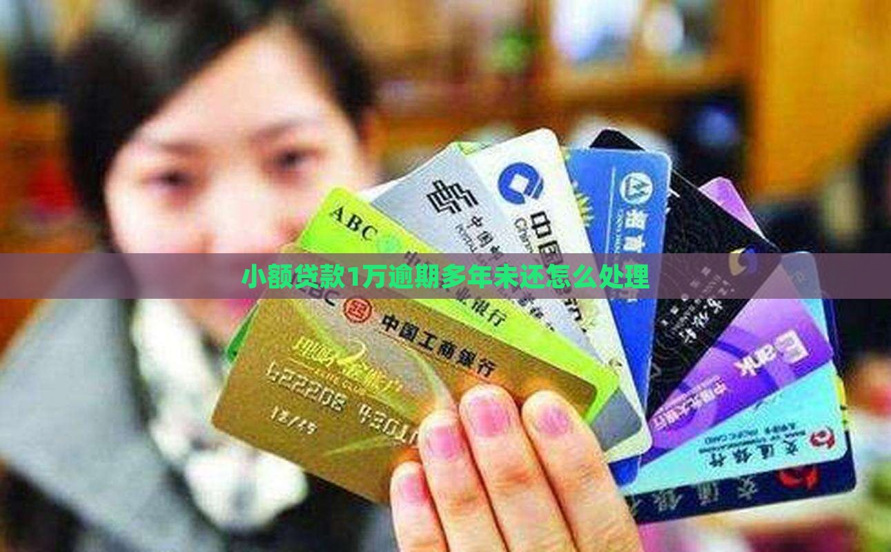小额贷款1万多年未还