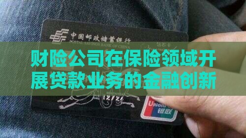在财险公司做贷款
