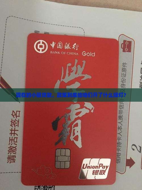小额贷款现在的政策是什么