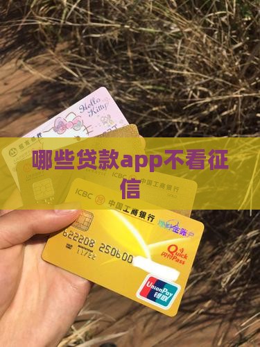 哪些大额贷款app不看征信