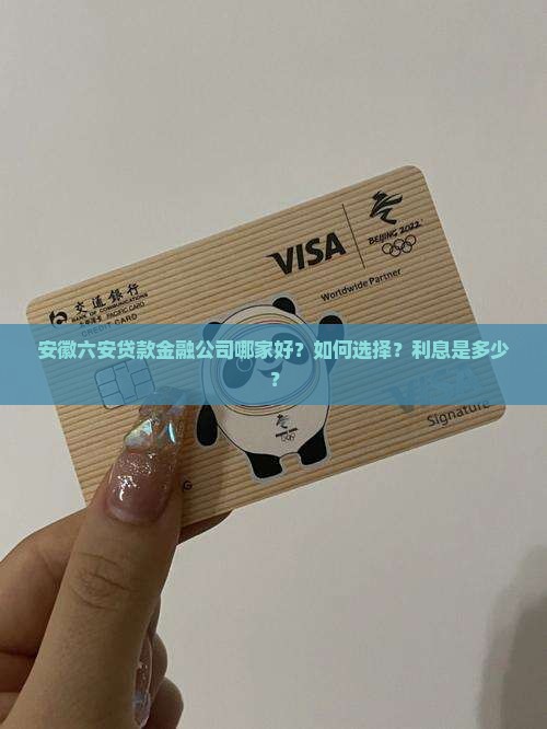 安徽六安贷款金融公司