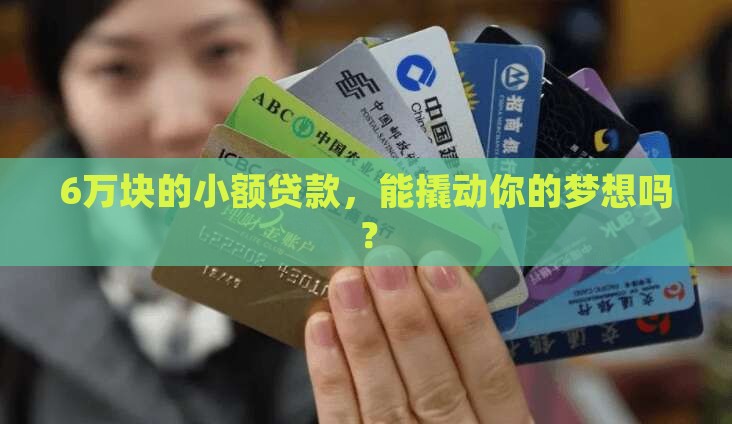 6万元小额贷款