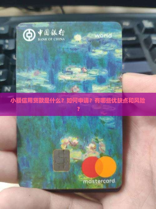 小额信用贷款的概述