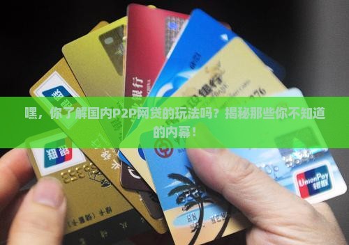 阐述国内p2p网络贷款模式