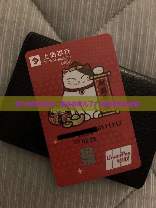 建行快贷结清贷款没额度