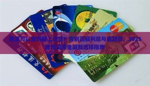 哪里可以查到网上贷款
