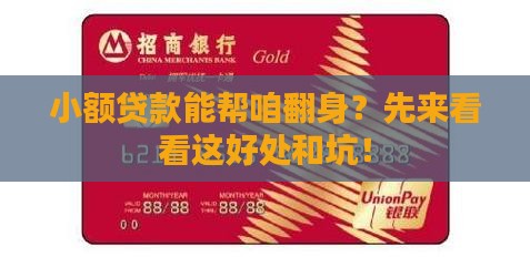 个人小额贷款的利与弊分析