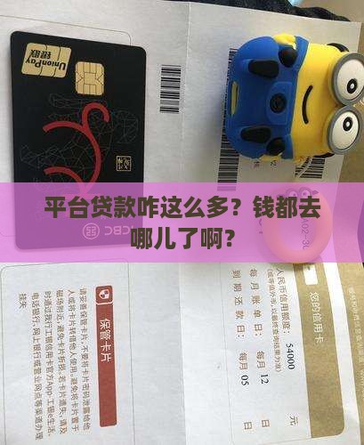 平台贷款怎么那么多 平台贷款怎么那么多
