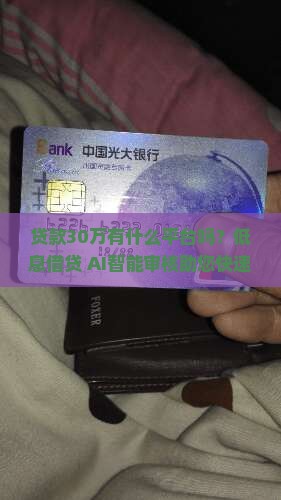 贷款30万有什么平台吗