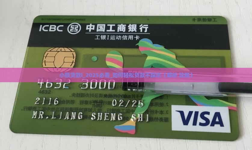 小额贷款l