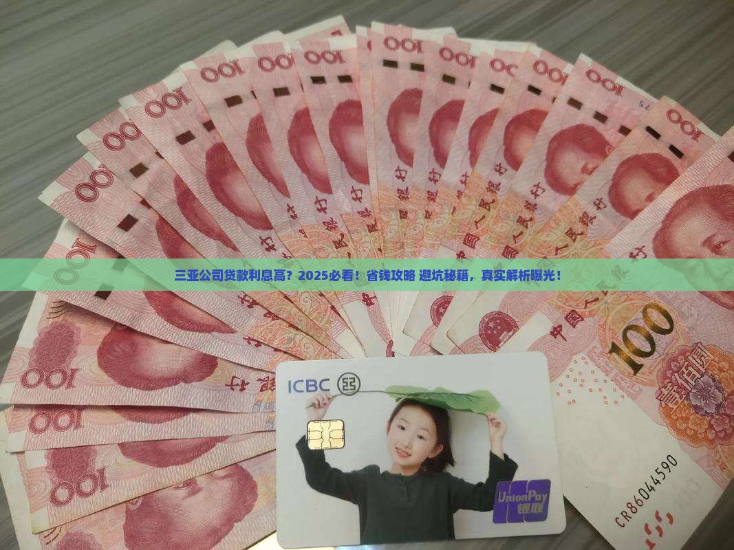 三亚公司贷款利息