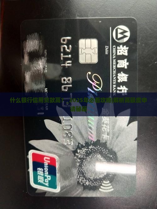 什么银行信用贷款高