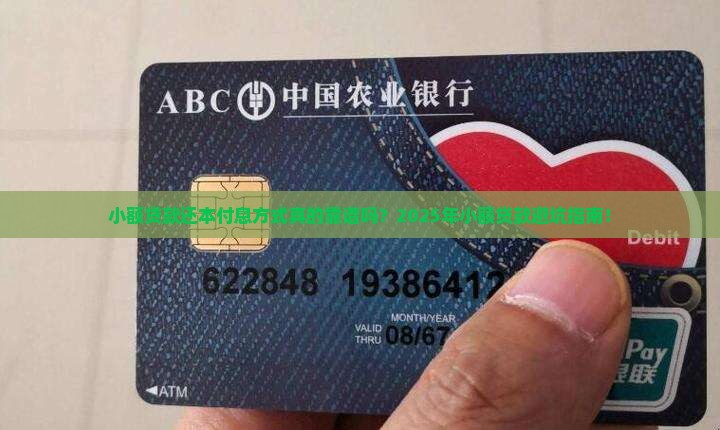 小额贷款还本付息方式