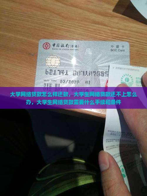 大学网络贷款怎么样还款
