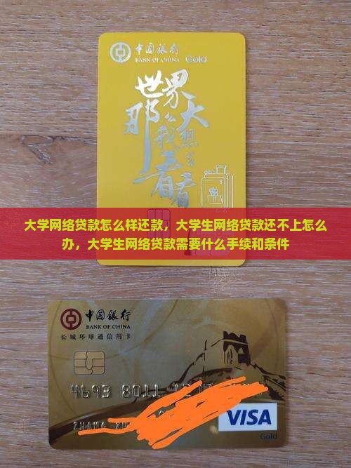大学网络贷款怎么样还款