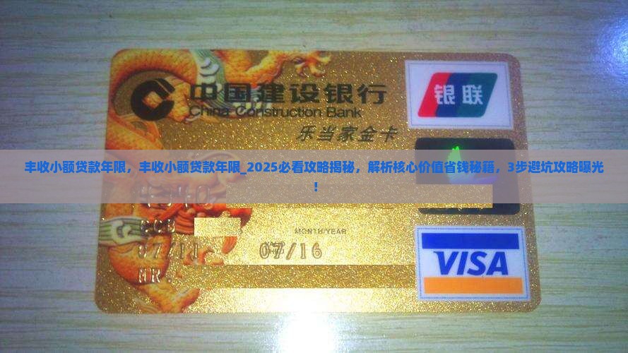 丰收小额贷款年限