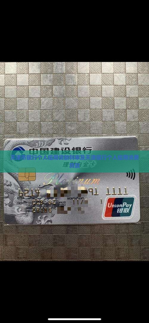 天津市银行个人信用贷款