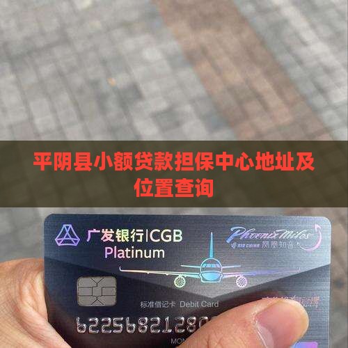 平阴县小额贷款担保中心