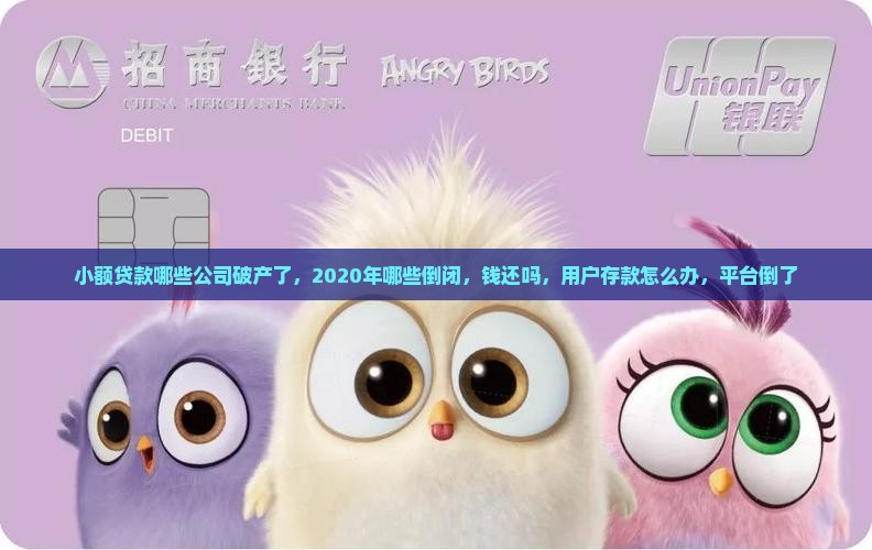 小额贷款哪些公司破产了