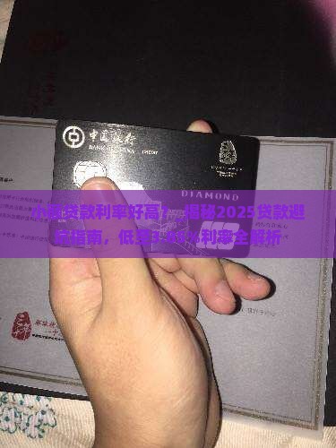 小额贷款利率好高