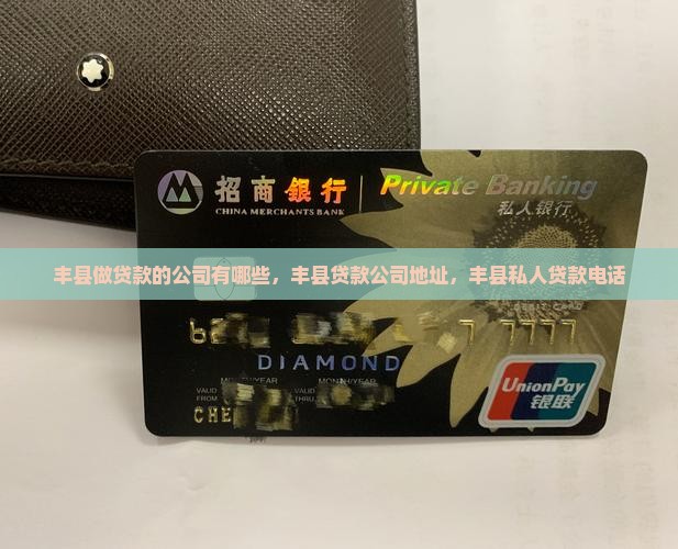 丰县做贷款的公司有哪些
