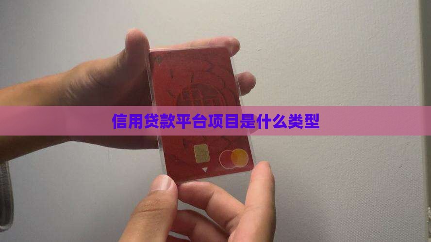 信用贷款平台项目是什么