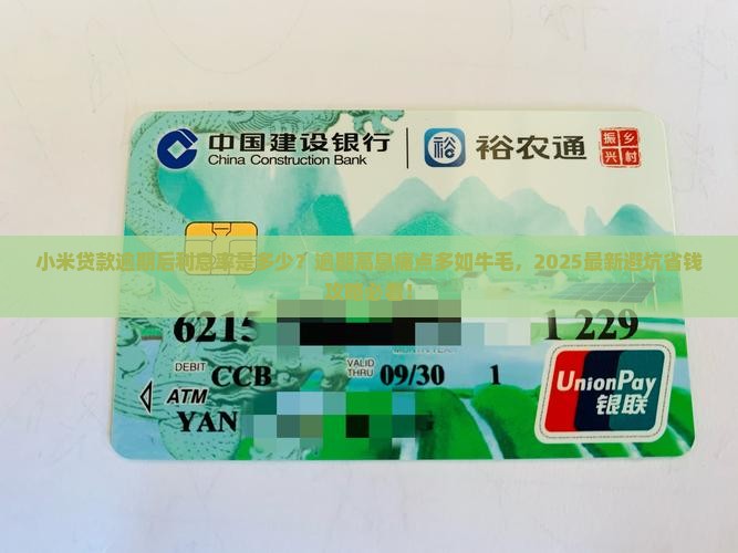 小米贷款逾期后利息率