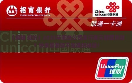 发行美元银团贷款的公司 发行美元银团贷款的公司