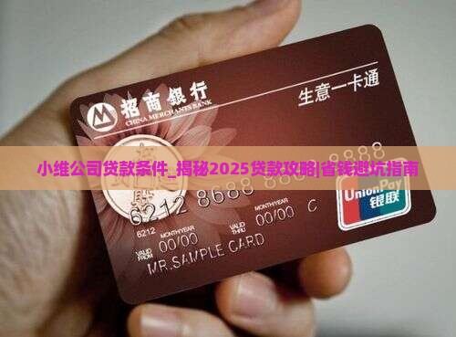 小维公司贷款条件