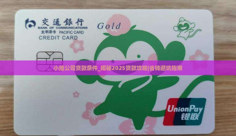 小维公司贷款条件