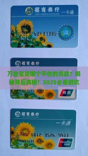 万金宝是什么平台的贷款
