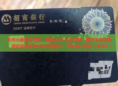 东方小额贷款划转