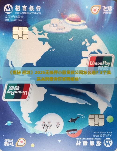 无抵押小额贷款公司