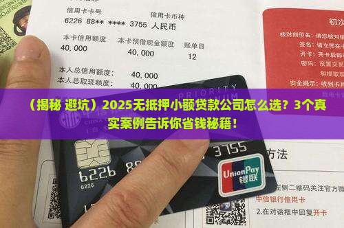 无抵押小额贷款公司