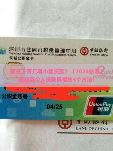 如何查个人名下小额贷款