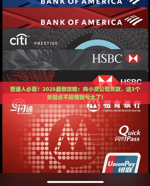 向小贷公司贷款案例