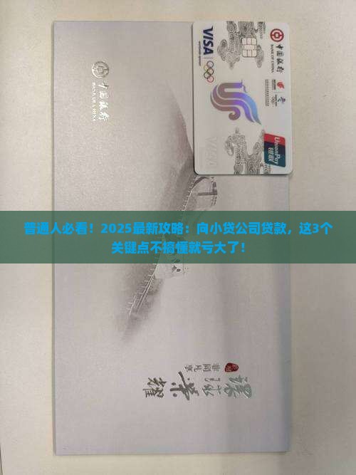 向小贷公司贷款案例