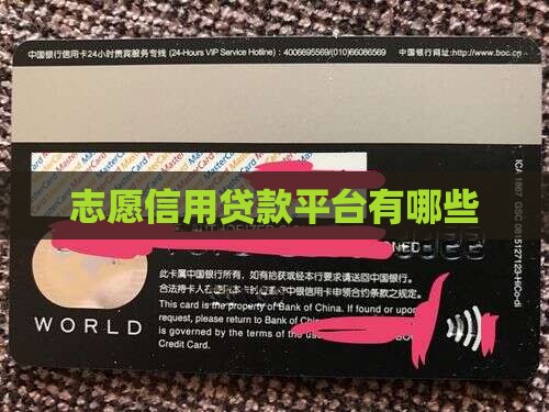 志愿者贷款平台有哪些