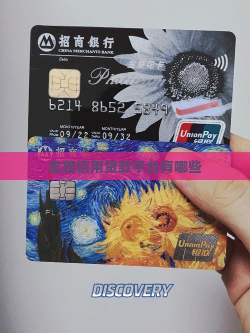 志愿者贷款平台有哪些