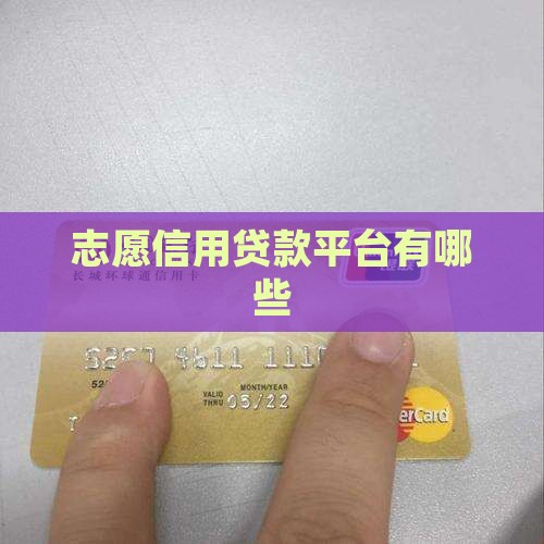 志愿者贷款平台有哪些