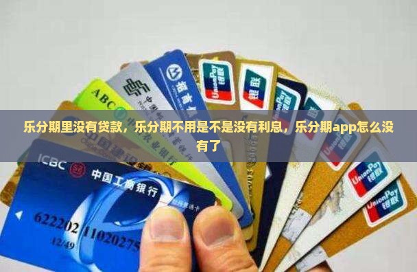 乐分期里没有贷款