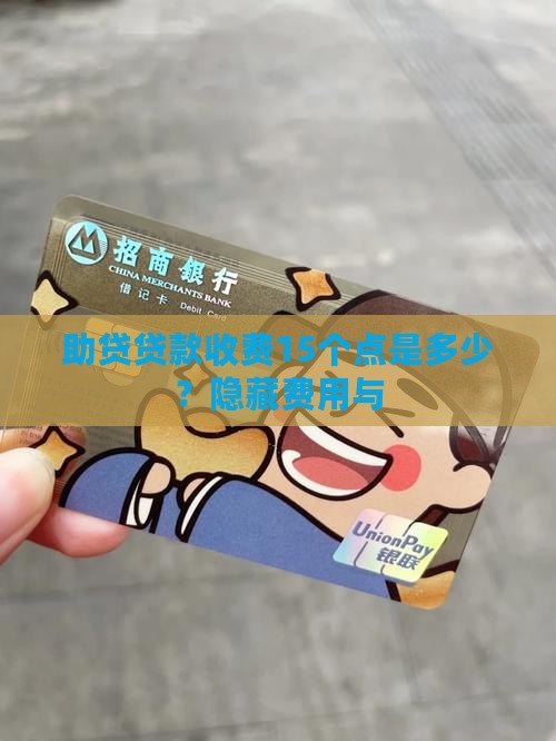 助贷贷款收费15个点是多少