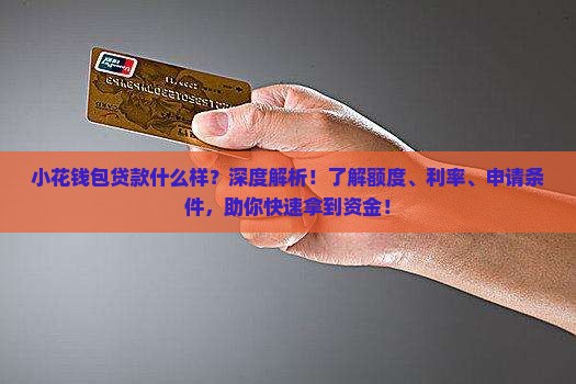小花钱包贷款什么样