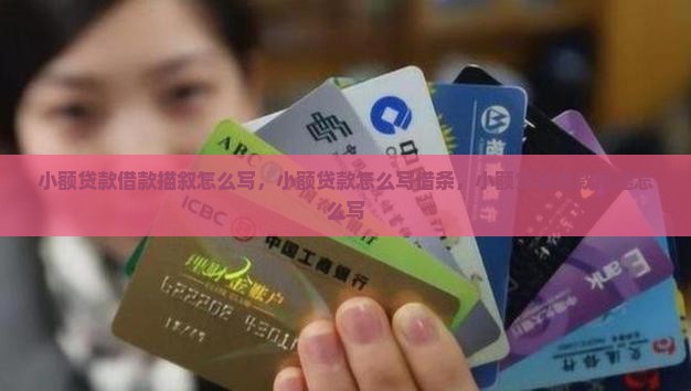 小额贷款借款描叙怎么写