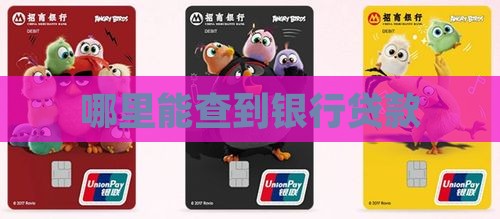 哪里能查到银行贷款