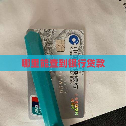 哪里能查到银行贷款
