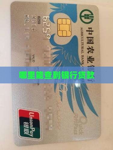 哪里能查到银行贷款